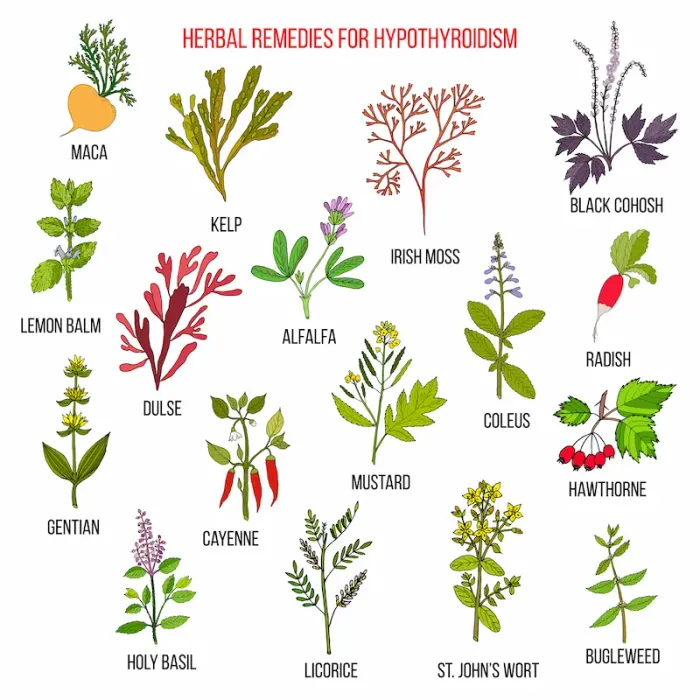 Best Hypothyroidism Medications Available in India